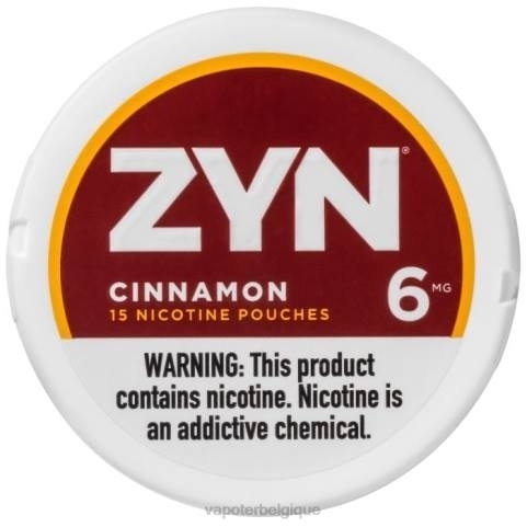 Cigarette Electronique Bruxelles J2D819 | ZYN cannelle sachet de nicotine 6mg