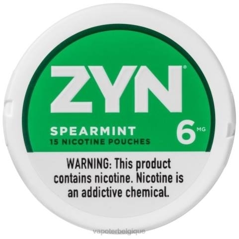 Cigarette Electronique Grossiste J2D815 | ZYN menthe verte sachet de nicotine 6mg