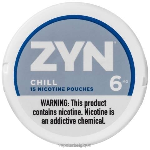 Vape En Gros J2D821 | ZYN froideur sachet de nicotine 6mg