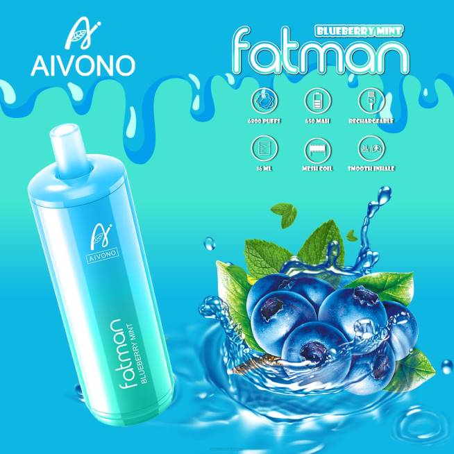 Aivono FATMAN 6800 menthe myrtille - VBRB22 Grossiste Vape En Ligne