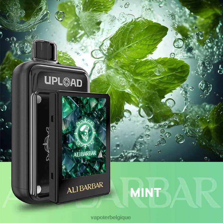 Vapoter Belgique menthe - Alibarbar télécharger 408H0117