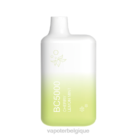 Vapoter Belgique J2D8302 | ELFBAR BC5000 menthe citronnée