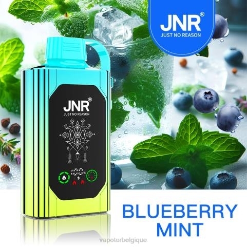 Cigarette Electronique Belgique J2D8618 | JNR SHISHA BOX menthe myrtille