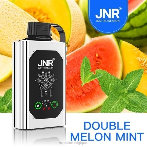 Vape En Gros J2D8621 | JNR SHISHA BOX double melon menthe