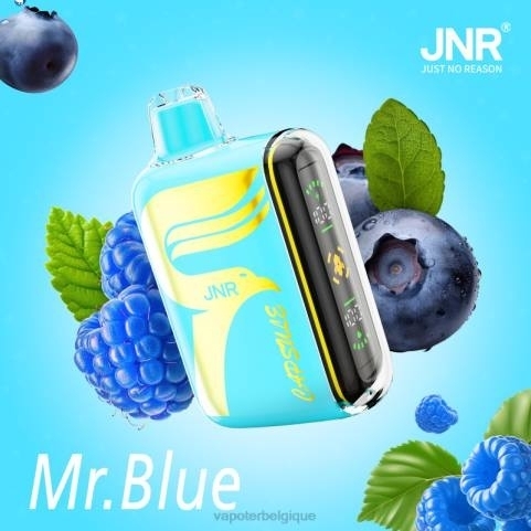 Grossiste Vape Jetable J2D8606 | JNR CAPSULE monsieur bleu