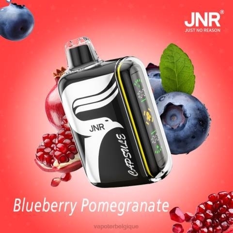 Vape En Gros J2D8601 | JNR CAPSULE myrtille-grenade