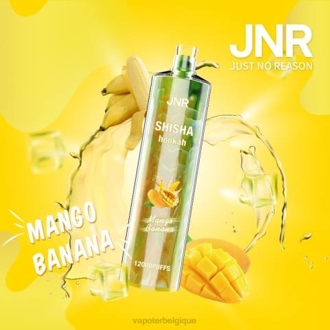 Grossiste Vape En Ligne J2D8684 | JNR SHISHA mangue banane