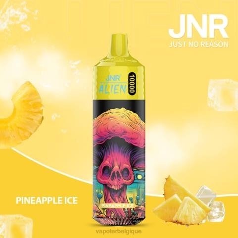 Cigarette Electronique Bruxelles J2D8659 | JNR ALIEN glace à l'ananas