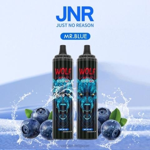 Grossiste Vape Jetable J2D8766 | JNR WOLF NIPLO monsieur bleu