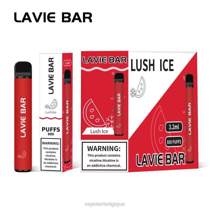 LAVIE BAR 800 bouffées 6J6R308 | Vapoter Belgique glace luxuriante