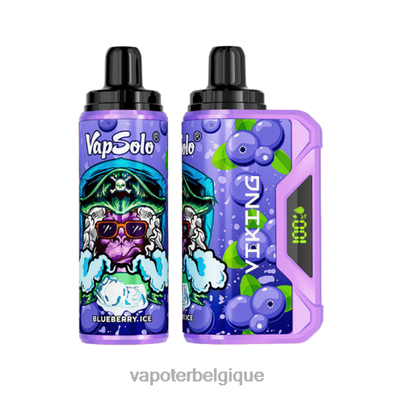 Grossiste Vape En Ligne 22F64130 Vapsolo VIKING vape jetable myrtille