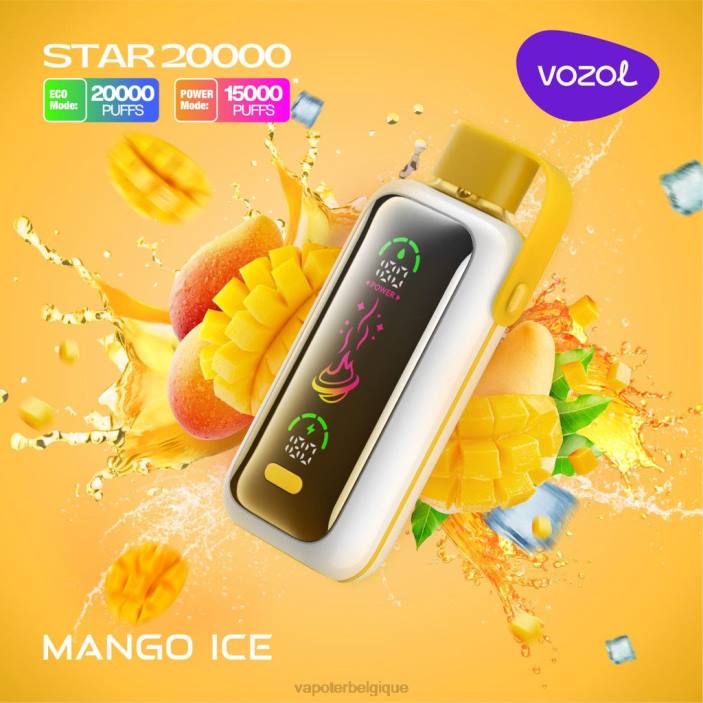 VOZOL STAR 20000 028613 glace à la mangue Cigarette Electronique Grossiste