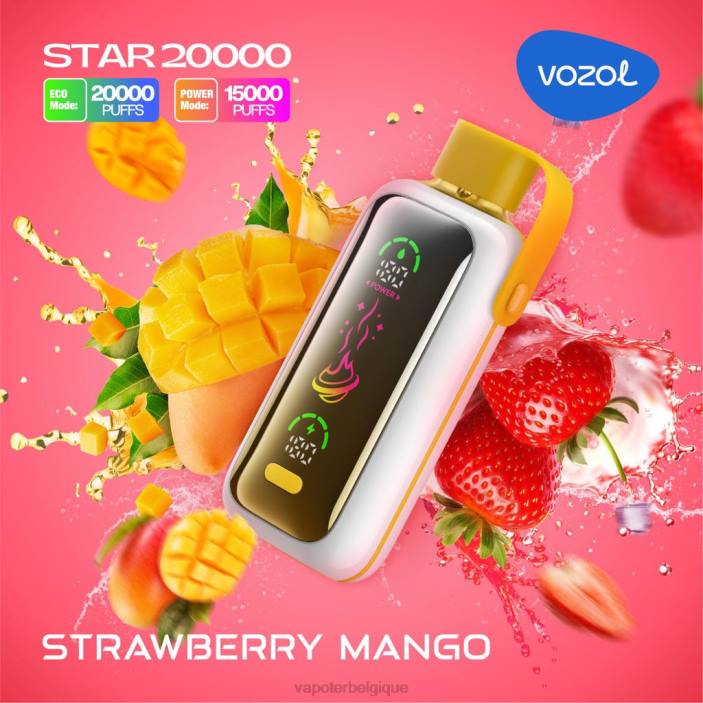 VOZOL STAR 20000 02861 mangue fraise Vape En Gros